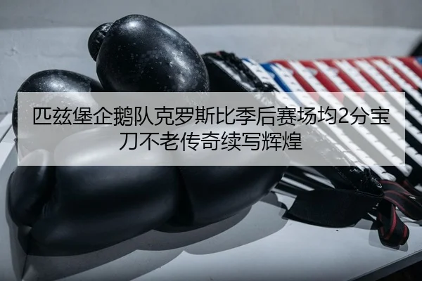 匹兹堡企鹅队克罗斯比季后赛场均2分宝刀不老传奇续写辉煌